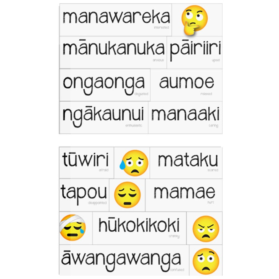 Magnetic NZ Māori Feelings