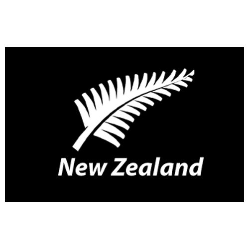 Black New Zealand Silver Fern flag measuring 60cm by 90cm featuring the silver fern and New Zealand text.